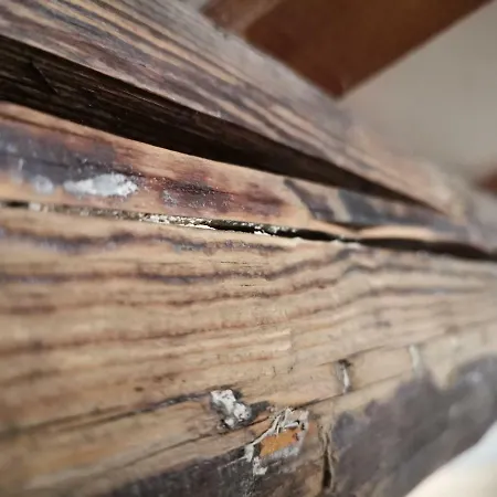 Casa Francesca * Verona