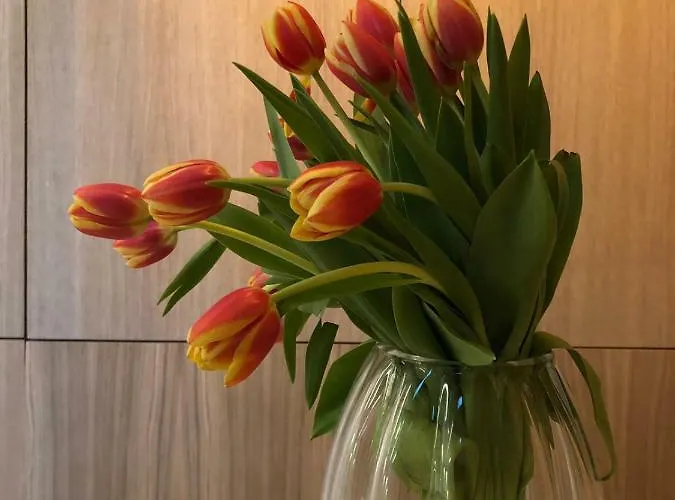 Casa Francesca ヴェローナ