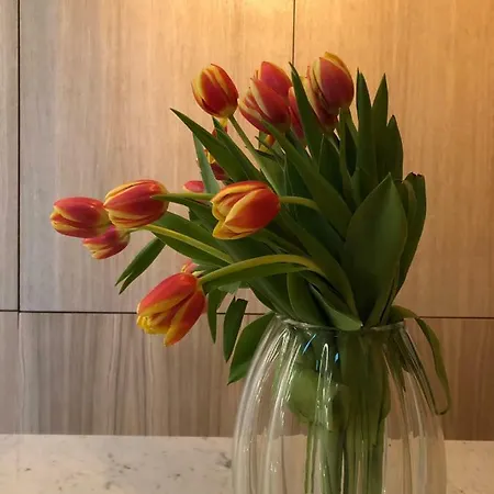 Casa Francesca Vérone